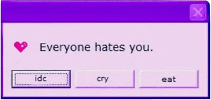 Everyone hates you window